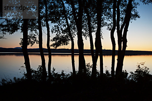 Treetrunks und ein See in der Abenddämmerung Jämtland  Schweden