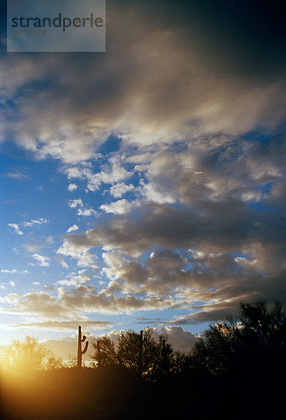 Ein Himmel über offene Landschaft Arizona USA.