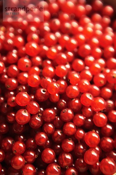 Redcurrants close-up.