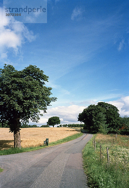 Ein Countryroad ein Simmerday Schweden