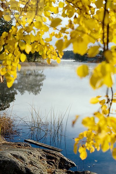Herbst Tyreso Schweden