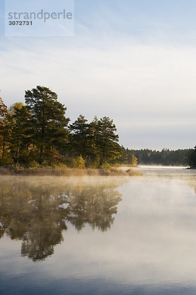 Morgennebel von einem See Tyreso Schweden