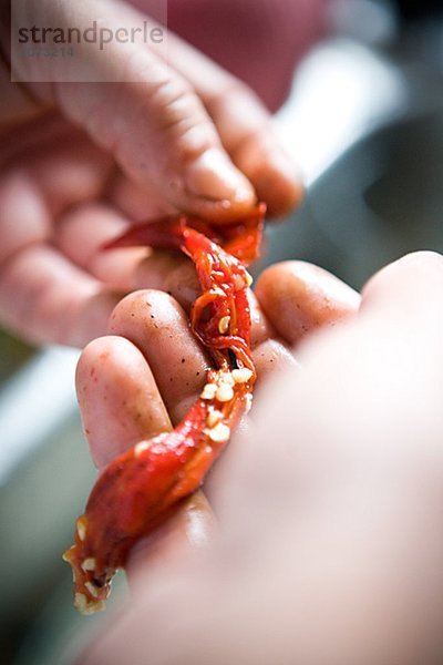 Peeling red pepper close-up Sweden.