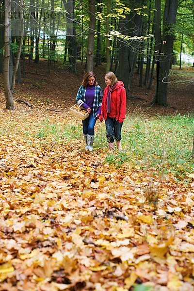 Mother and daughter walking in a forest Stockholm Sweden.