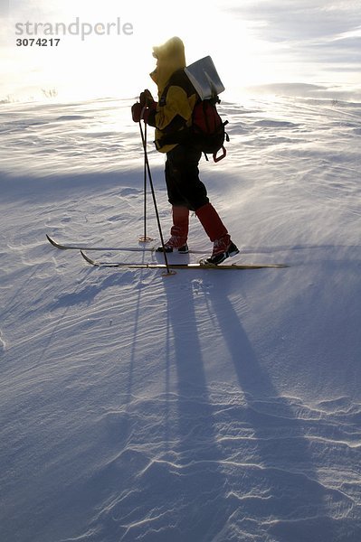 Berg Skifahrer Baum über nackt Geographie Linie