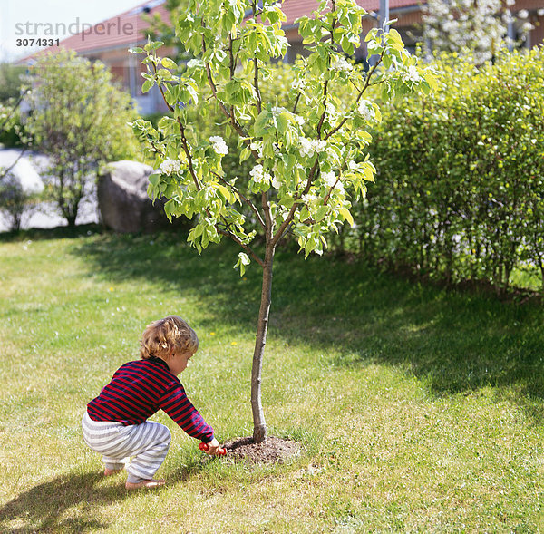 Junge - Person Baum Garten anpflanzen