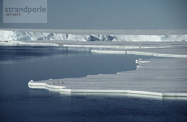 Eisberg floating in den Meer