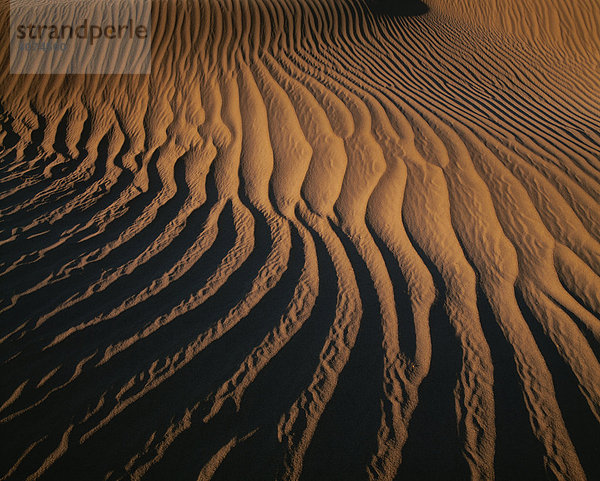 Wüste mit Wellen im sand