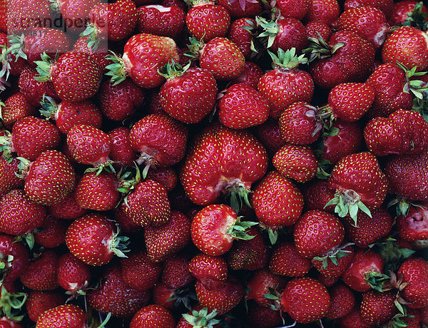 Strawberry Nahaufnahme