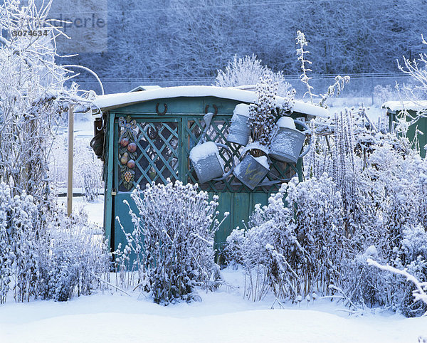 bedecken Wohnhaus Pflanze Schnee