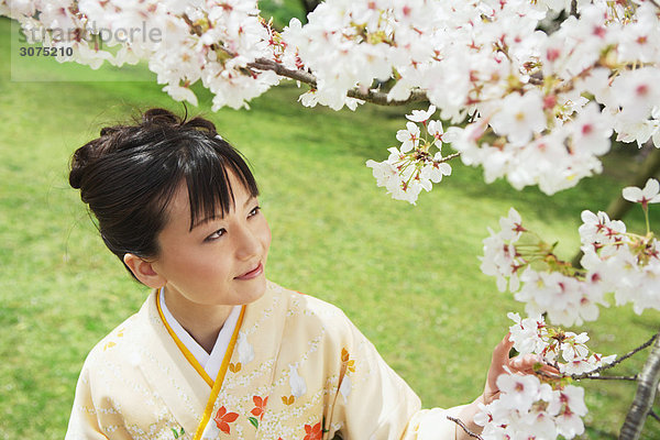 Japanische Frau lächelnd betrachten Kirschenblüten