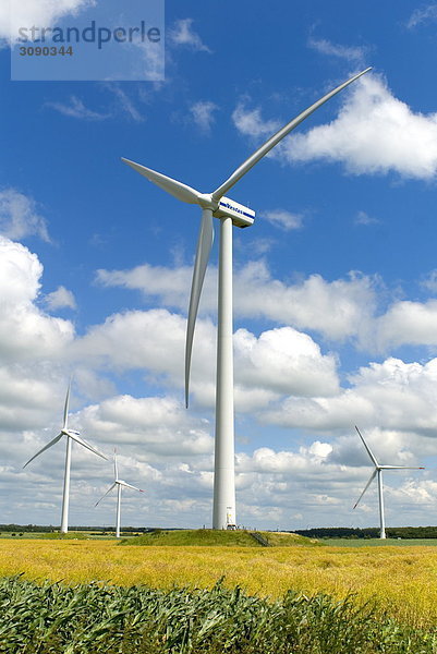 Windpark  Schwesing-Engelsburg  Schleswig-Holstein  Deutschland