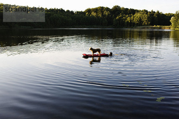 Ein Mann  der einen Hund auf einem Floß in einem See schiebt.