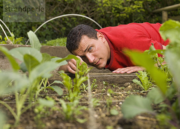 Mann im Gartenbau