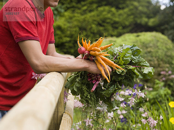 Mann im Garten mit Gemüseernte