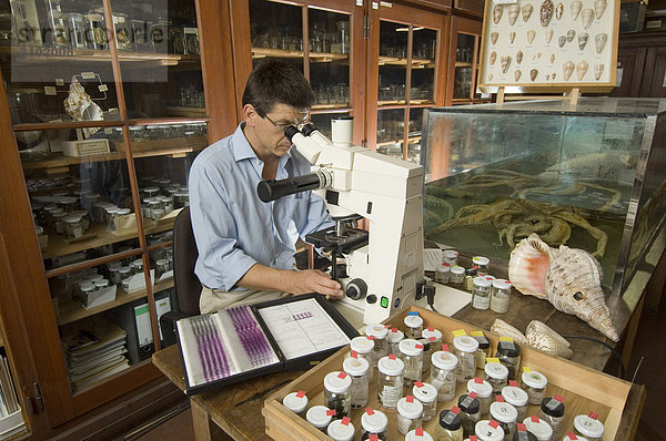 Naturkundemuseum  Matthias Glaubrecht  Forscher am Mikroskop. Berlin  Deutschland