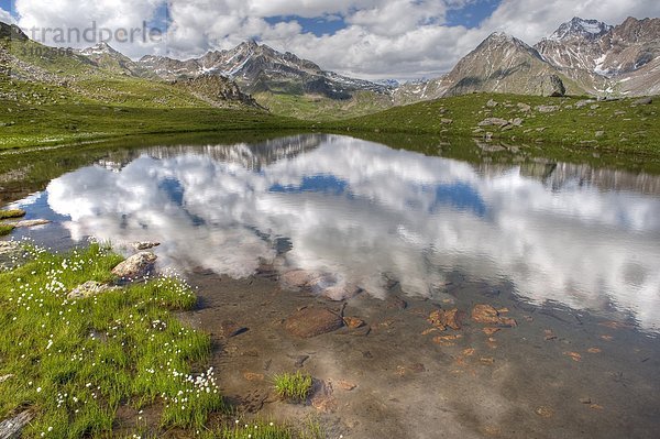 Seetaucher Hintergrund Italien Lombardei