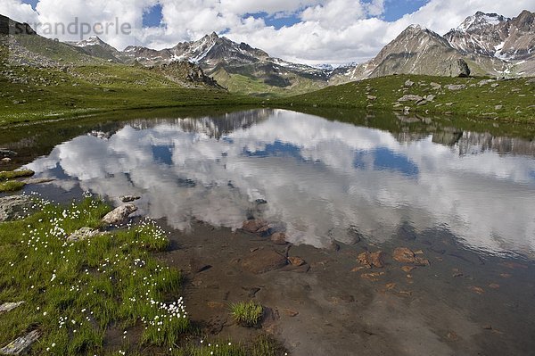 Seetaucher Hintergrund Italien Lombardei