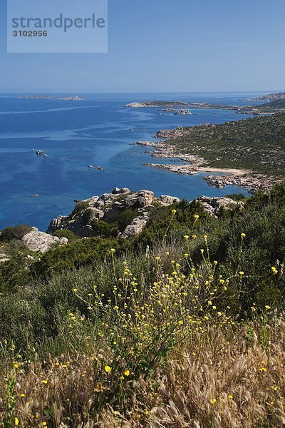 Panorama Insel Ansicht Sardinien Westküste