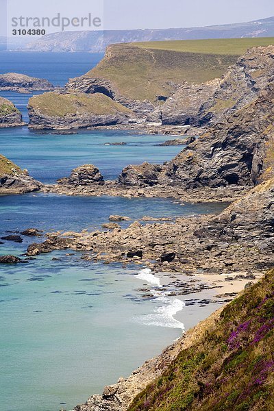 Großbritannien  England  Cornwall  Extrameldung Kopf