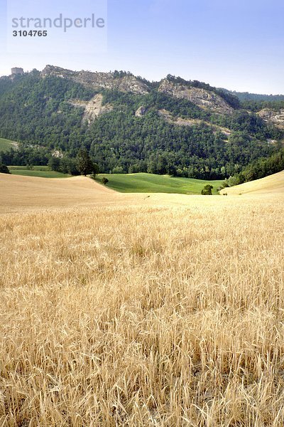 Ländliches Motiv ländliche Motive Venetien Italien