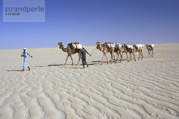 Afrika  Tschad  Tuareg Caravan in der Wüste