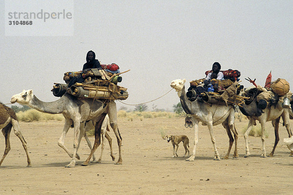 Afrika  Niger  Tuareg caravan