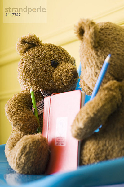 Teddybären von Angesicht zu Angesicht mit Buntstiften und Buch