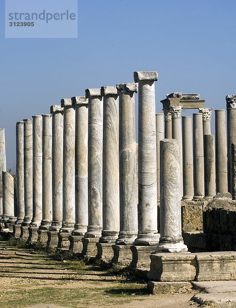 Säulen inmitten einer Ausgrabungsstätte in Perge  Türkei