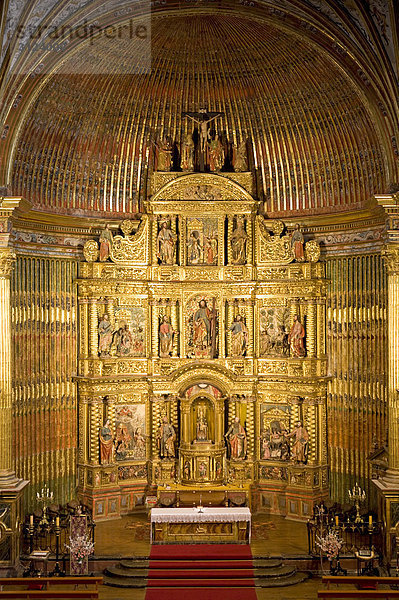 Innenbereich einer Kirche  Blick auf den Altar  Elciego  Spanien  Erhöhte Ansicht