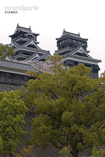 Burg Kumamoto  Kumamoto  Japan  Flachwinkelansicht