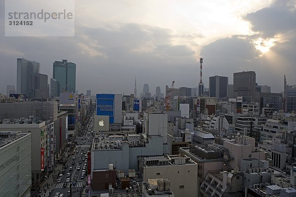 Blick auf Tokyo  Japan  Vogelperspektive