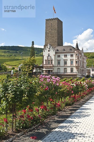 Brömserburg  Rüdesheim am Rhein  Deutschland