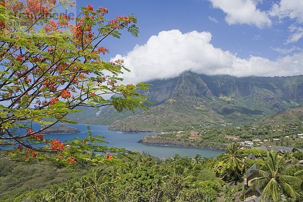 Atuona  Hiva Oa  Französisch Polynesien