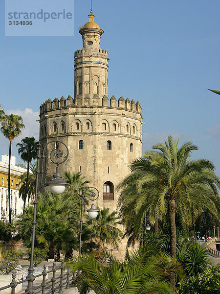 Torre del oro  Sevilla  Andalusien  Spanien