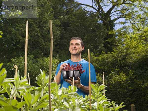 Der Mann im Garten bereitet sich auf die Bepflanzung vor