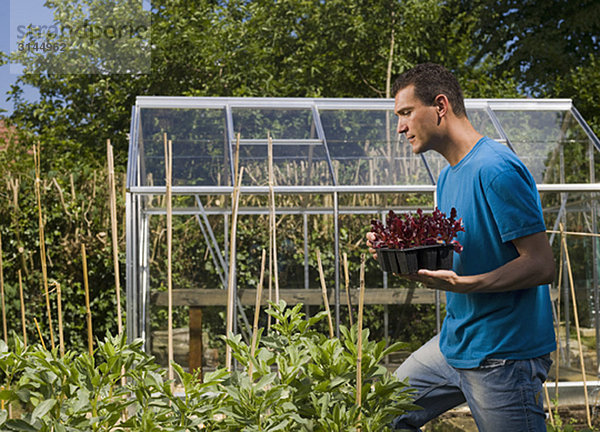 Mann im Gartenbau