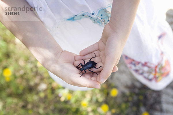 Ein junges Mädchen hält einen Käfer.