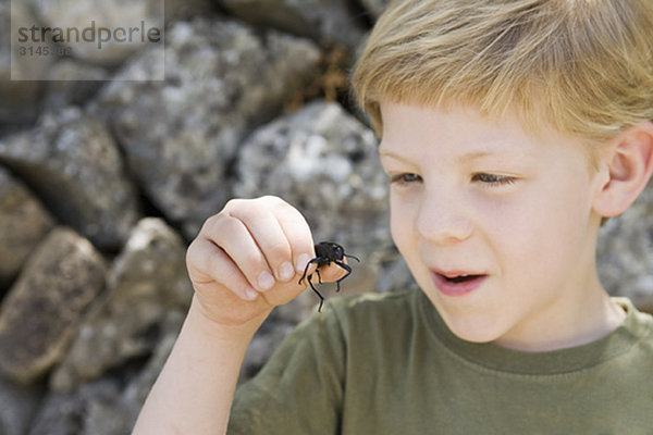 Ein Kopfschuss eines Jungen mit einem Käfer