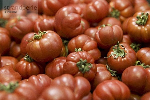 Ochsenherz-Tomaten  bildfüllend