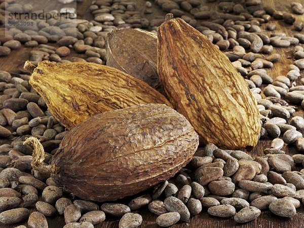 Kakaofrüchte und Kakaobohnen