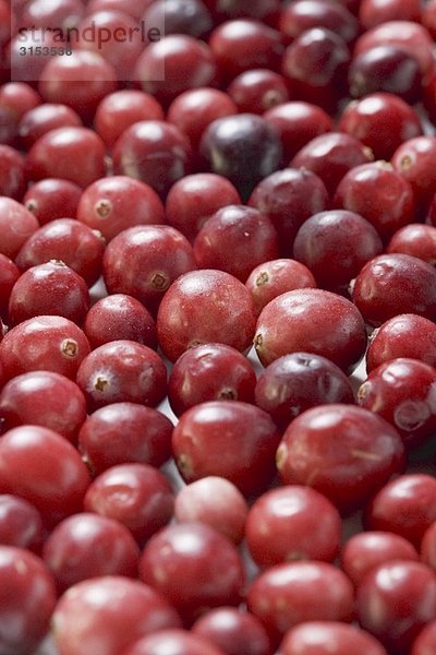 Viele Cranberries (bildfüllend)