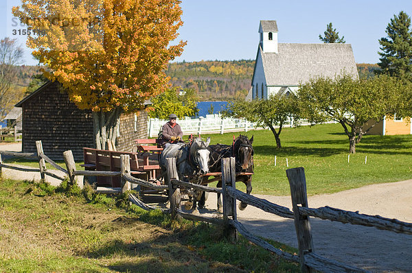 Man driving horses and carriage  Kings Landing Historical Settlement  Fredericton  New Brunswick