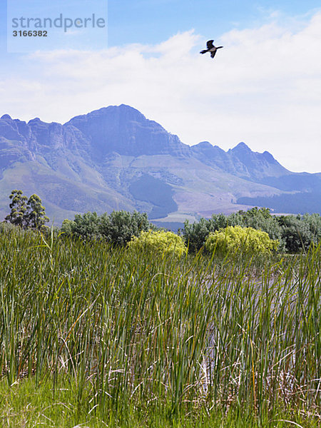 Berglandschaft  Südafrika.