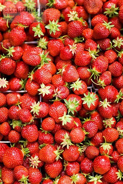Erdbeeren Nahaufnahme Schweden.