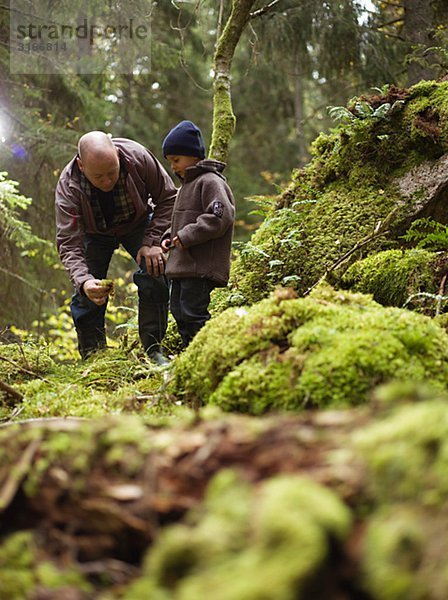 Vater und Sohn in der Gesamtstruktur Schweden.