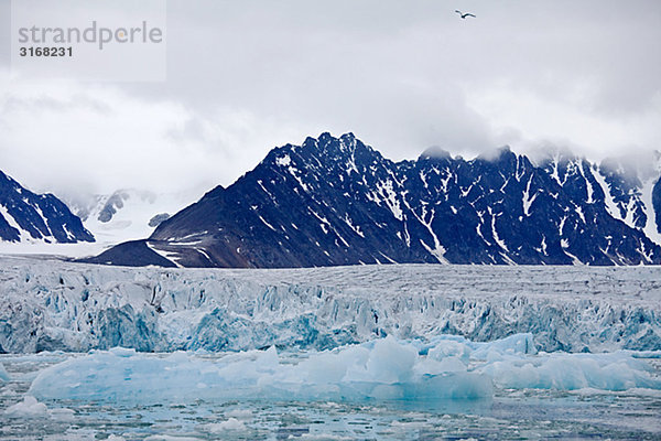 Berge und Gletscher in Svalbard Norwegen.