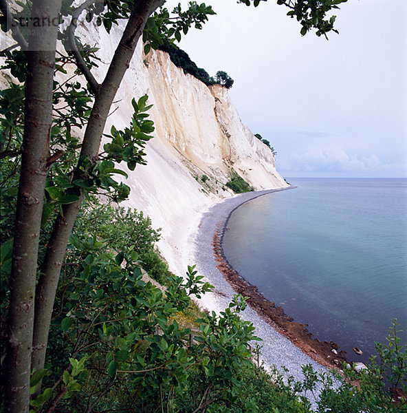 Küste und Pebble Beach bei Mons Klint Mn Dänemark.