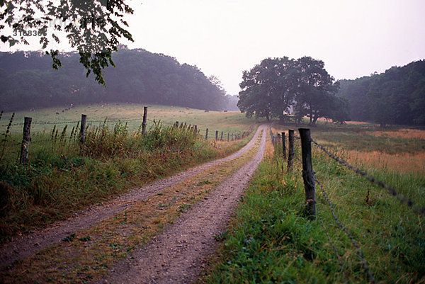 Beschotterte Straße durch die Landschaft Dänemark.