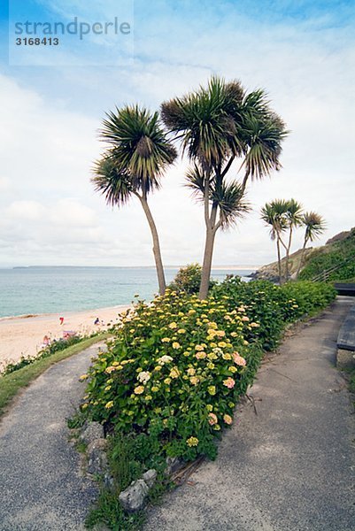 Eine Straße am Strand Cornwall England.